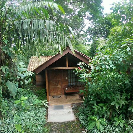 Arenal Oasis Eco Lodge & Wildlife Refuge La Fortuna Екстериор снимка
