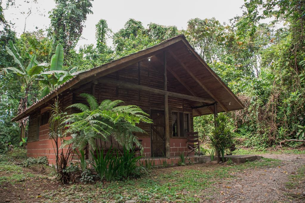 Arenal Oasis Eco Lodge & Wildlife Refuge La Fortuna Екстериор снимка